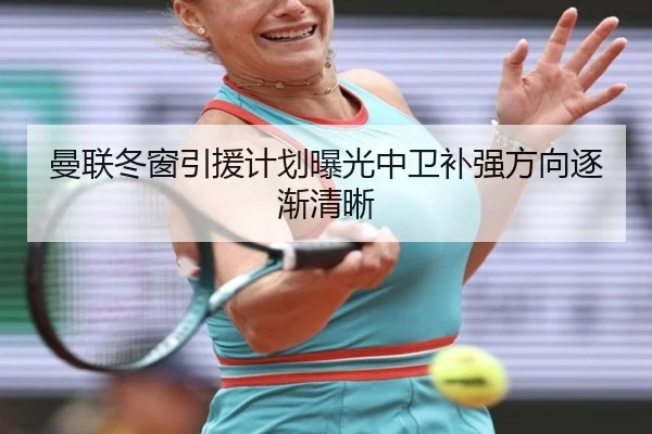 曼联冬窗引援计划曝光中卫补强方向逐渐清晰 | leyu