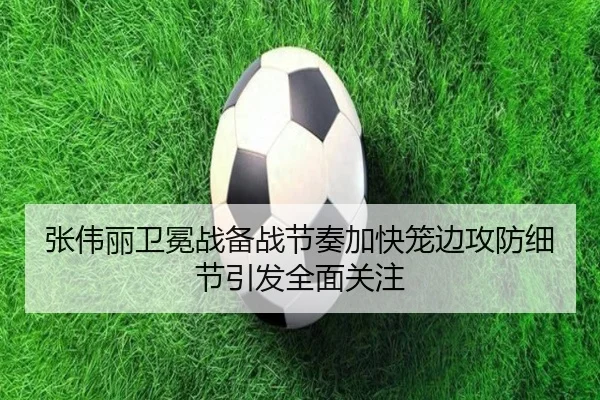 张伟丽卫冕战备战节奏加快笼边攻防细节引发全面关注（leyu）